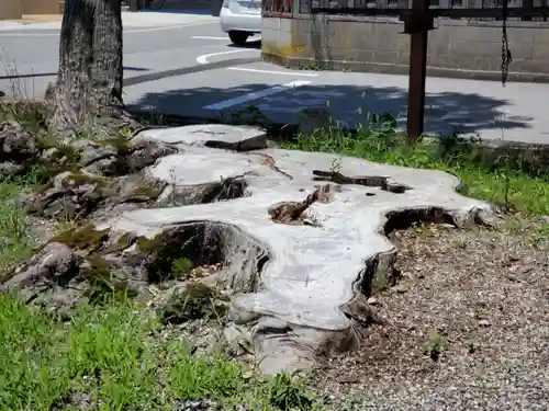 尼子八幡神社の自然