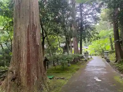 妙楽寺(福井県)