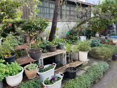 壺井堂（壷井の茶所）(京都府)