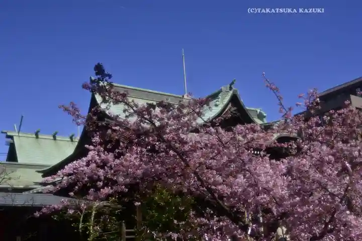桜神宮(東京都)