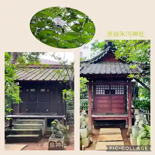 渋谷氷川神社(東京都)