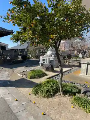 延命寺(群馬県)