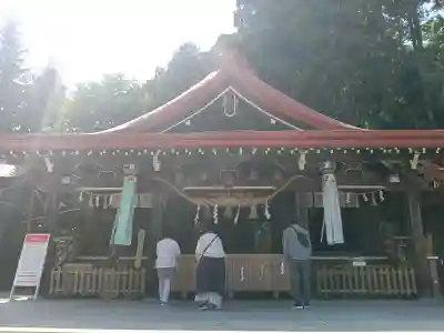 金蛇水神社の御朱印