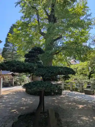 松戸神社(千葉県)