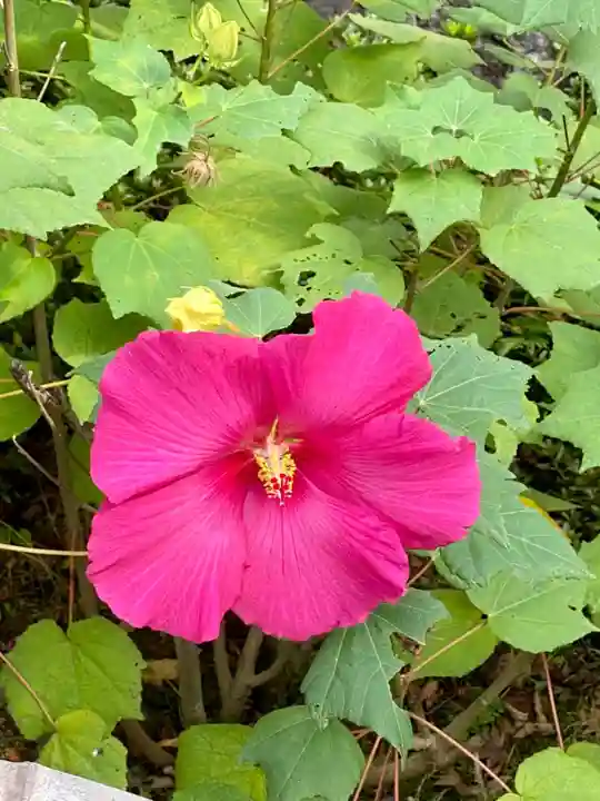 天龍寺(京都府)