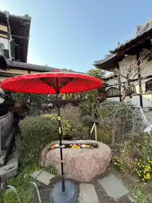 一乗寺の{uncategorized: "未分類", other: "その他", undefined: "問題あり", building: "その他建物", grave: "お墓", sacred_gate: "鳥居", guardian: "狛犬", statue: "像", buddha: "仏像", history: "歴史", nature: "自然", garden: "庭園", animal: "動物", pagoda: "塔", temizu: "手水舎", mountain_gate: "山門・神門", sanctuary: "本殿・本堂", subordinate: "末社・摂社", art: "芸術", scenery: "景色", jizo: "地蔵", ema: "絵馬", goshuin: "御朱印", omikuji: "おみくじ", items: "授与品その他", amulet: "お守り", goshuincho: "御朱印帳", eats: "食事", festival: "お祭り", votive_dance: "神楽", shichigosan: "七五三参", wedding: "結婚式", experience: "体験その他", initially: "初詣", around: "周辺", anti_infection: "感染症対策"}