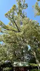 亀之森住吉神社の自然