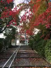 宗忠神社(京都府)