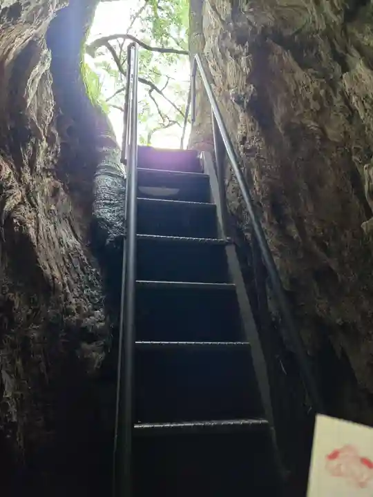 熊野那智大社(和歌山県)