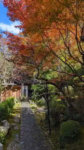 宝泉院(京都府)