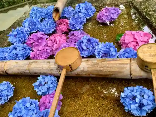 今熊野観音寺の手水舎