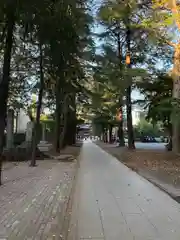 諏訪神社(東京都)