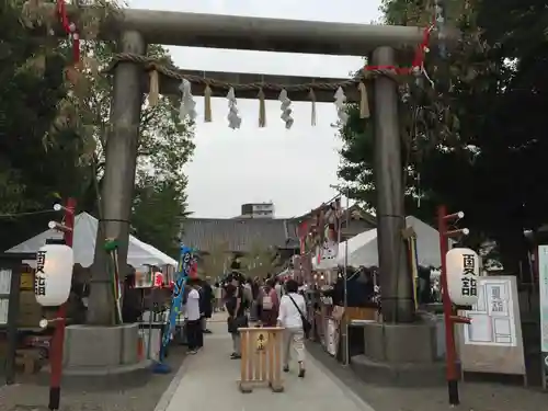 浅草神社の鳥居