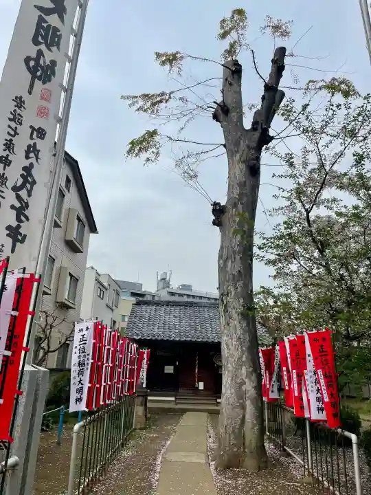 出世稲荷神社の{uncategorized: "未分類", other: "その他", undefined: "問題あり", building: "その他建物", grave: "お墓", sacred_gate: "鳥居", guardian: "狛犬", statue: "像", buddha: "仏像", history: "歴史", nature: "自然", garden: "庭園", animal: "動物", pagoda: "塔", temizu: "手水舎", mountain_gate: "山門・神門", sanctuary: "本殿・本堂", subordinate: "末社・摂社", art: "芸術", scenery: "景色", jizo: "地蔵", ema: "絵馬", goshuin: "御朱印", omikuji: "おみくじ", items: "授与品その他", amulet: "お守り", goshuincho: "御朱印帳", eats: "食事", festival: "お祭り", votive_dance: "神楽", shichigosan: "七五三参", wedding: "結婚式", experience: "体験その他", initially: "初詣", around: "周辺", anti_infection: "感染症対策"}