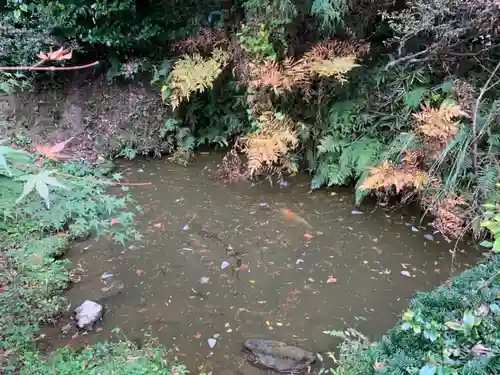 能満寺の庭園