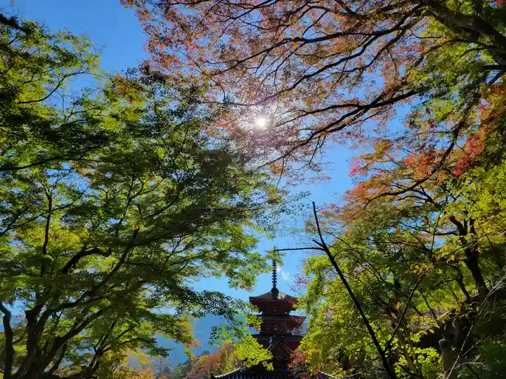 長谷寺(奈良県)