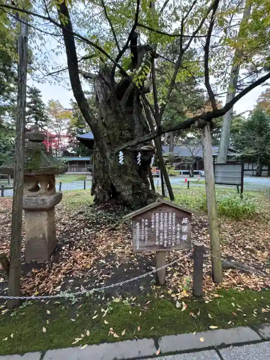 蠶養國神社(福島県)