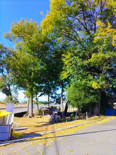 津島神社・仏堂（前原）の自然