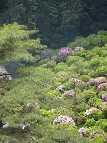 塩船観音寺の景色