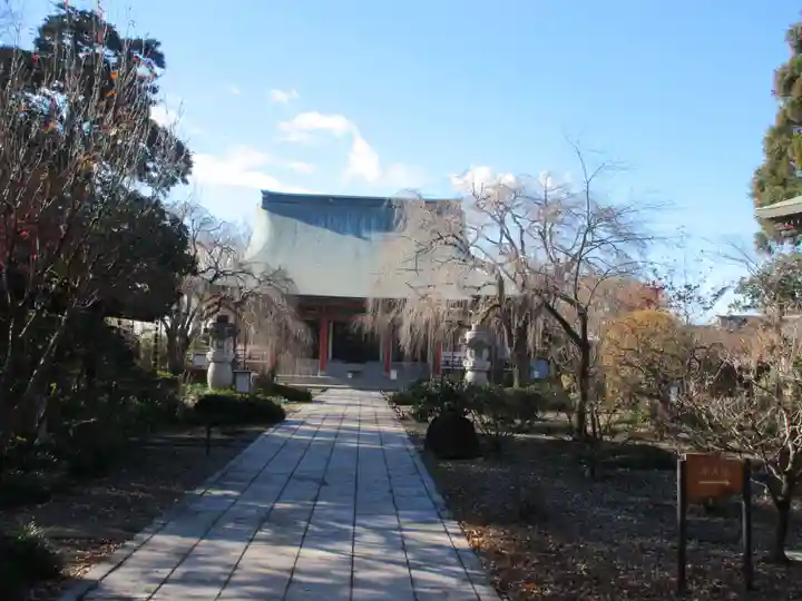 善導寺(群馬県)