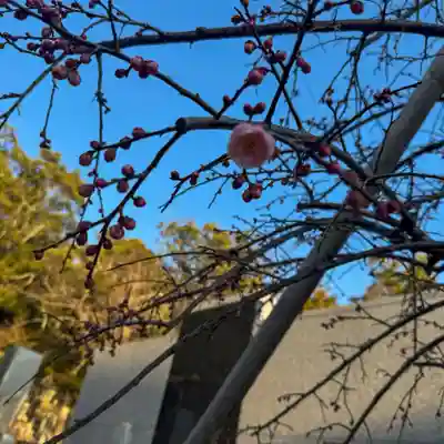 伊勢の国 四天王寺(三重県)