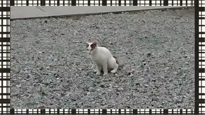 寺岡山元三大師(栃木県)