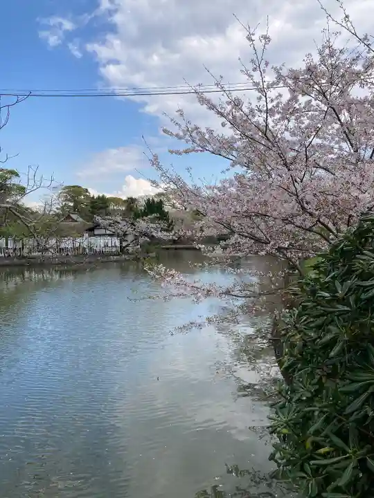 旗上弁財天社の景色