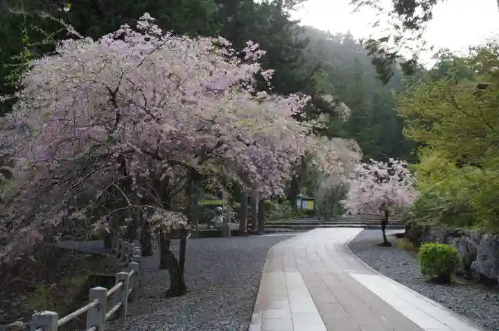 身延山 祖廟拝殿の自然