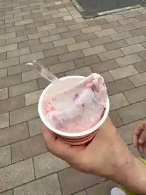 白蛇辨財天(栃木県)