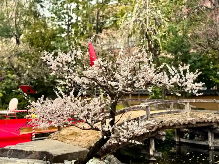 湯島天満宮の{uncategorized: "未分類", other: "その他", undefined: "問題あり", building: "その他建物", grave: "お墓", sacred_gate: "鳥居", guardian: "狛犬", statue: "像", buddha: "仏像", history: "歴史", nature: "自然", garden: "庭園", animal: "動物", pagoda: "塔", temizu: "手水舎", mountain_gate: "山門・神門", sanctuary: "本殿・本堂", subordinate: "末社・摂社", art: "芸術", scenery: "景色", jizo: "地蔵", ema: "絵馬", goshuin: "御朱印", omikuji: "おみくじ", items: "授与品その他", amulet: "お守り", goshuincho: "御朱印帳", eats: "食事", festival: "お祭り", votive_dance: "神楽", shichigosan: "七五三参", wedding: "結婚式", experience: "体験その他", initially: "初詣", around: "周辺", anti_infection: "感染症対策"}