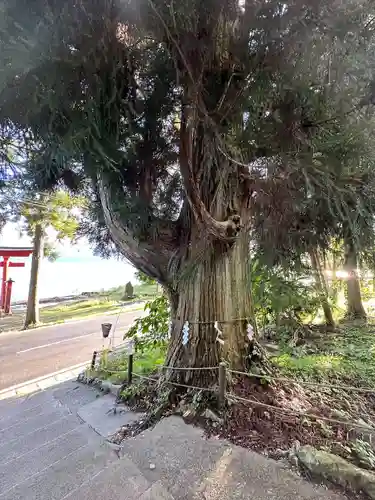 御座石神社(秋田県)