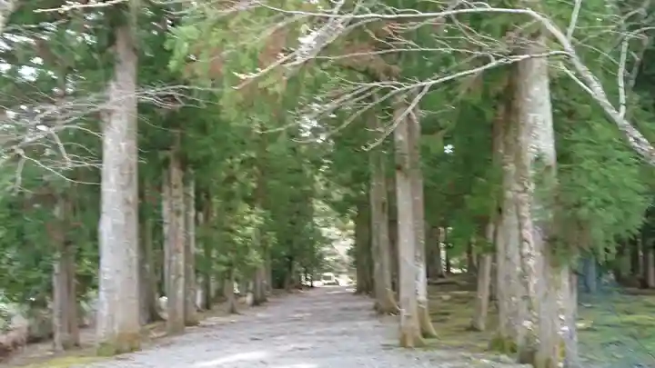 大斎原(熊野本宮大社旧社地)の自然