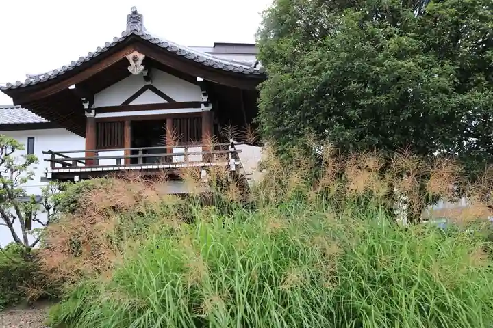 善導寺のその他建物