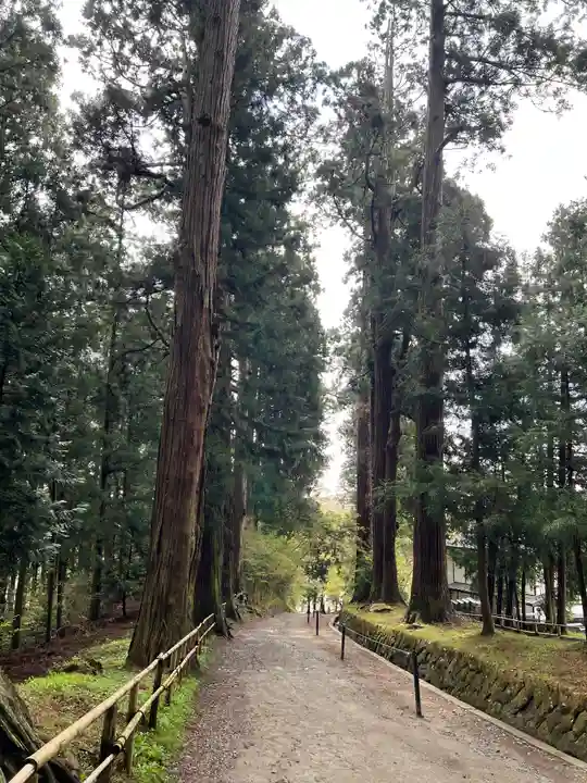 中尊寺(岩手県)