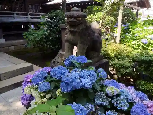 白山神社の自然