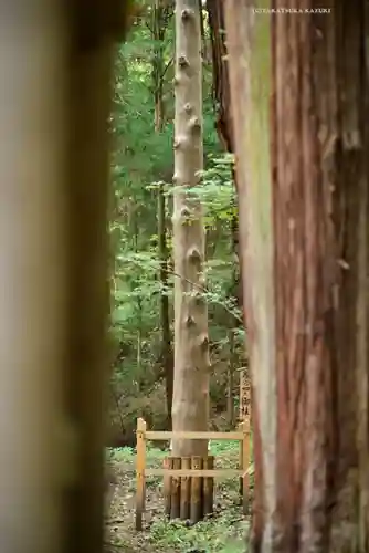 諏訪大社下社春宮(長野県)