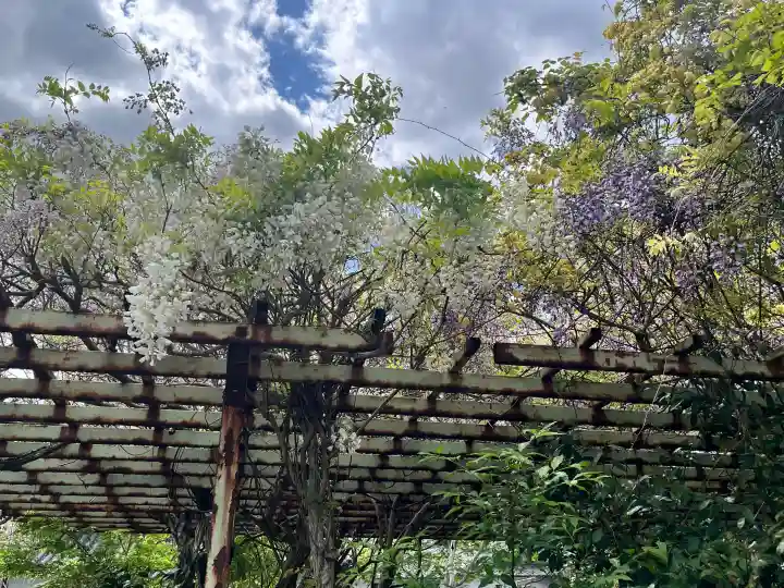 隅田八幡神社の{uncategorized: "未分類", other: "その他", undefined: "問題あり", building: "その他建物", grave: "お墓", sacred_gate: "鳥居", guardian: "狛犬", statue: "像", buddha: "仏像", history: "歴史", nature: "自然", garden: "庭園", animal: "動物", pagoda: "塔", temizu: "手水舎", mountain_gate: "山門・神門", sanctuary: "本殿・本堂", subordinate: "末社・摂社", art: "芸術", scenery: "景色", jizo: "地蔵", ema: "絵馬", goshuin: "御朱印", omikuji: "おみくじ", items: "授与品その他", amulet: "お守り", goshuincho: "御朱印帳", eats: "食事", festival: "お祭り", votive_dance: "神楽", shichigosan: "七五三参", wedding: "結婚式", experience: "体験その他", initially: "初詣", around: "周辺", anti_infection: "感染症対策"}