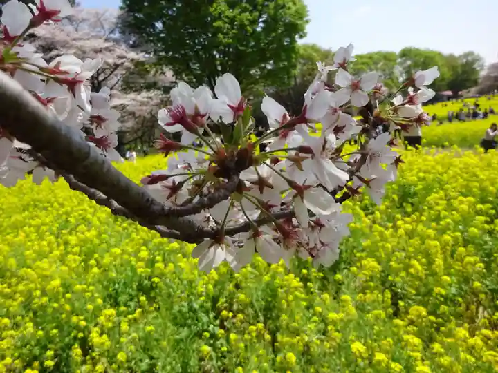 阿邪訶根神社の自然