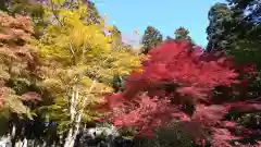 珍蔵寺　(山形県)