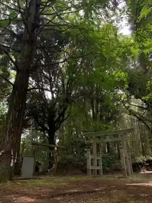 喜多神社の鳥居