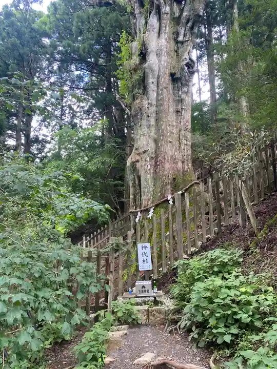 玉置神社(奈良県)