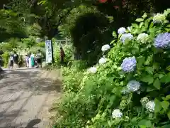 太平山神社の自然