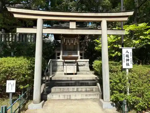 稲毛浅間神社の{uncategorized: "未分類", other: "その他", undefined: "問題あり", building: "その他建物", grave: "お墓", sacred_gate: "鳥居", guardian: "狛犬", statue: "像", buddha: "仏像", history: "歴史", nature: "自然", garden: "庭園", animal: "動物", pagoda: "塔", temizu: "手水舎", mountain_gate: "山門・神門", sanctuary: "本殿・本堂", subordinate: "末社・摂社", art: "芸術", scenery: "景色", jizo: "地蔵", ema: "絵馬", goshuin: "御朱印", omikuji: "おみくじ", items: "授与品その他", amulet: "お守り", goshuincho: "御朱印帳", eats: "食事", festival: "お祭り", votive_dance: "神楽", shichigosan: "七五三参", wedding: "結婚式", experience: "体験その他", initially: "初詣", around: "周辺", anti_infection: "感染症対策"}