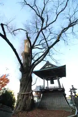 北向観音(長野県)