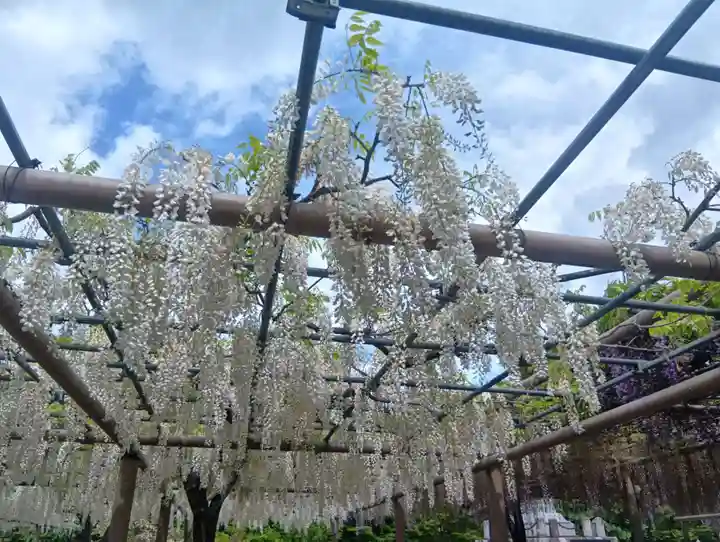 曼陀羅寺(愛知県)