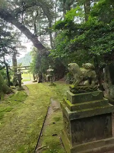 出雲神社の狛犬