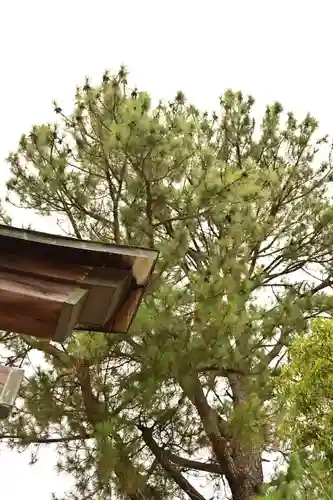 忌部神社の景色