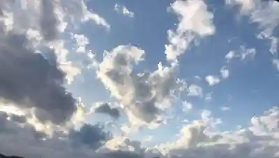 石内のお大師さん　金剛院の自然