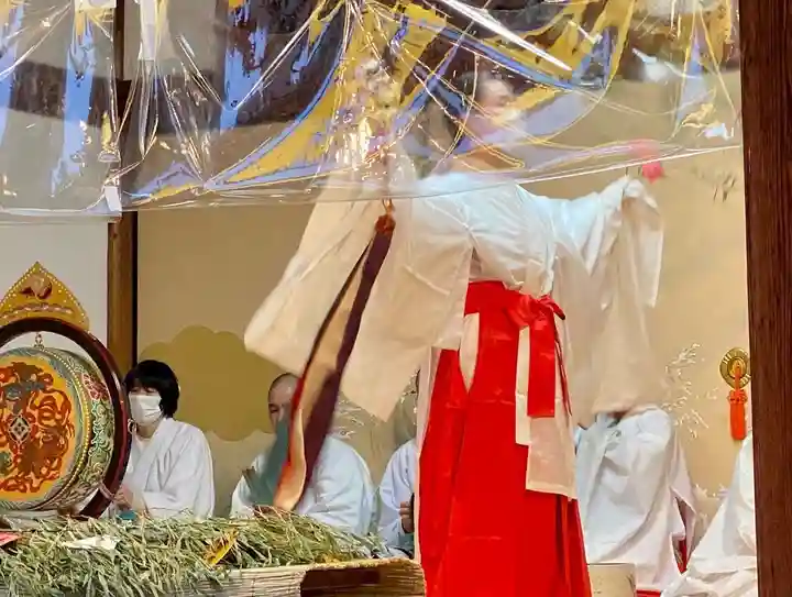 京都ゑびす神社の神楽