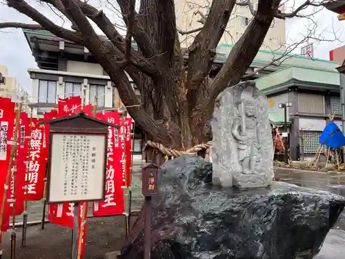 成田山札幌別院新栄寺の自然